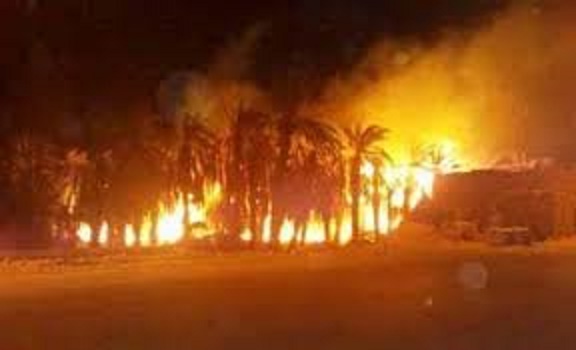 الشونة الجنوبية ..حريق ضخم يلتهم 300 دونم من اشجار الموز
