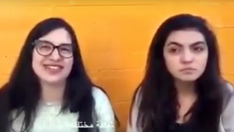 اشتباك لبناني سوري عنيف عبر مواقع التواصل بسبب استطلاع “عنصري” – فيديو
