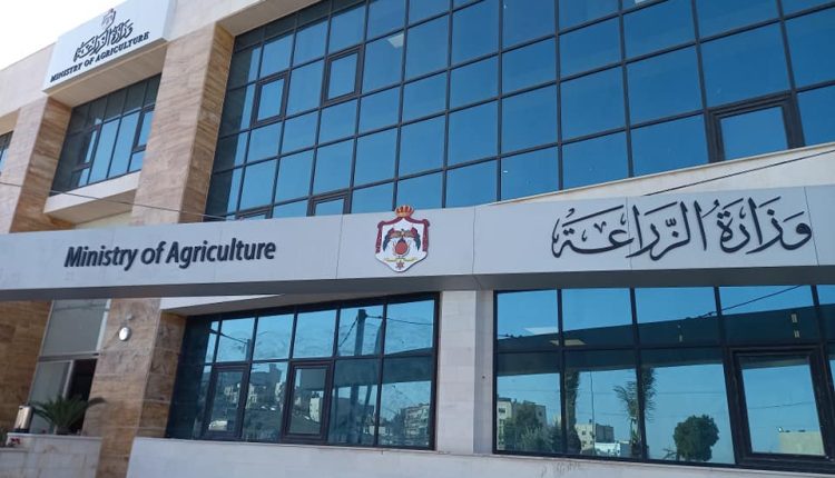 إطلاق 4 مدارس حقلية في الزرقاء