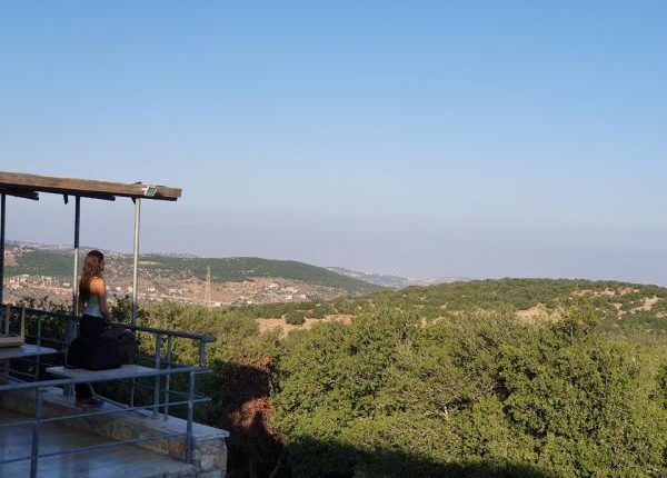 عجلون: مطالب شبابية بتكثيف الأنشطة والبطولات الرياضية