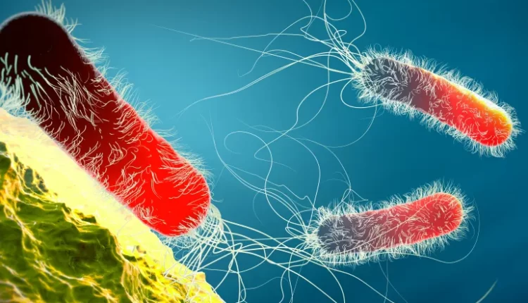 الذكاء الاصطناعي يساعد العلماء في الوصول إلى مضاد حيوي "لبكتيريا العراق" المقاومة للأدوية