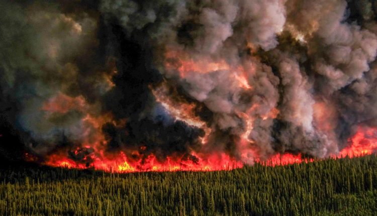 ألف إطفائي قدموا من الخارج.. كندا تواصل مكافحة حرائق الغابات