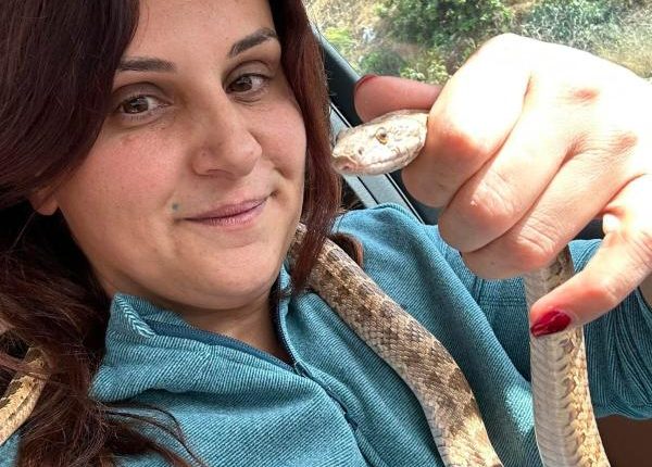 الصقور يشكر خبيرة الافاعي الفلسطينية ريال