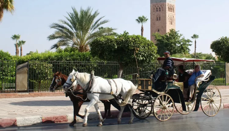 المهرجانات الصيفية تحرك عجلة السياحة في المغرب‎