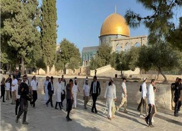 عشرات المستوطنين المتطرفين يقتحمون الأقصى بحراسة شرطة الاحتلال