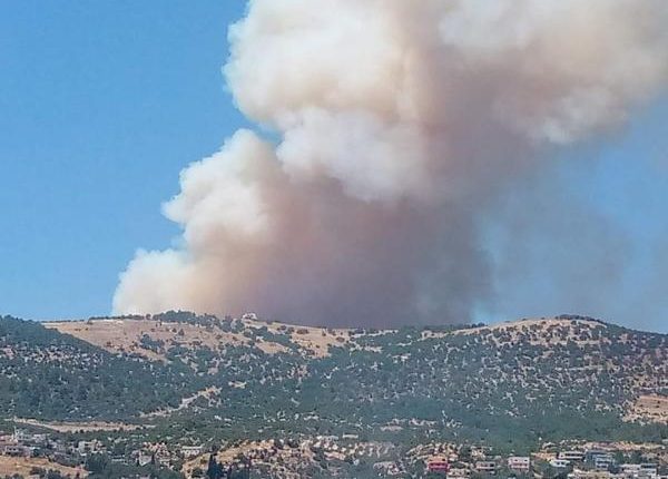 30 آلية تشارك بإخماد حرائق الغابات في عجلون وجرش