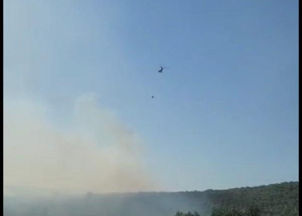 الزراعة: السيطرة على الحريق في عجلون والعمل على اخماده بجرش