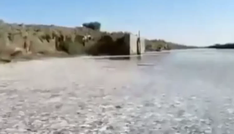 بحر من الأسماك النافقة يصدم العراقيين.. ماذا يجري في البصرة؟