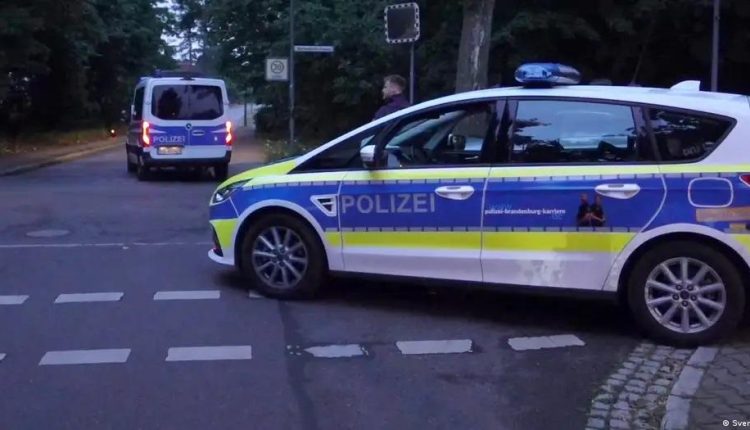 حيوان مفترس هارب في شوارع برلين يثير الرعب