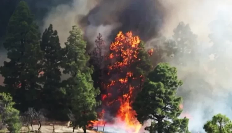 ضغط جوي وحرائق وصواعق.. الفيضانات تفتك بأجزاء من آسيا وموجة حر غير مسبوقة في أوروبا وأميركا