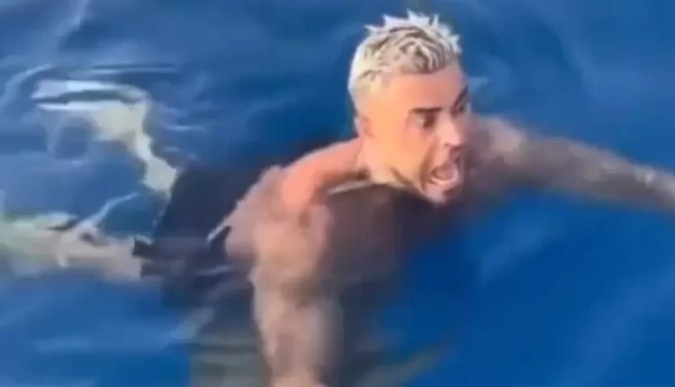 لحظة رعب تحبس الأنفاس.. القرش مر من تحت السبّاح ولامسه!