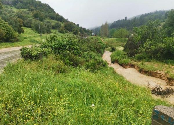 60 اتفاقية لدعم الخدمات الزراعية وصغار المزارعين في عجلون