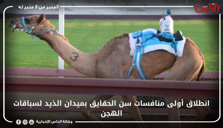انطلاق أولى منافسات سن الحقايق بميدان الذيد لسباقات الهجن