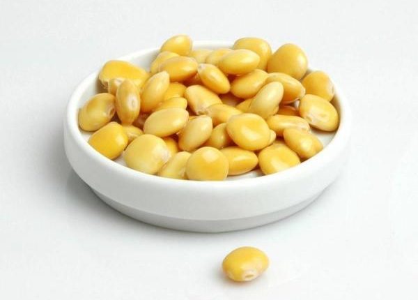 فوائد الترمس وزهوره للصحة الجلدية وخسارة الوزن